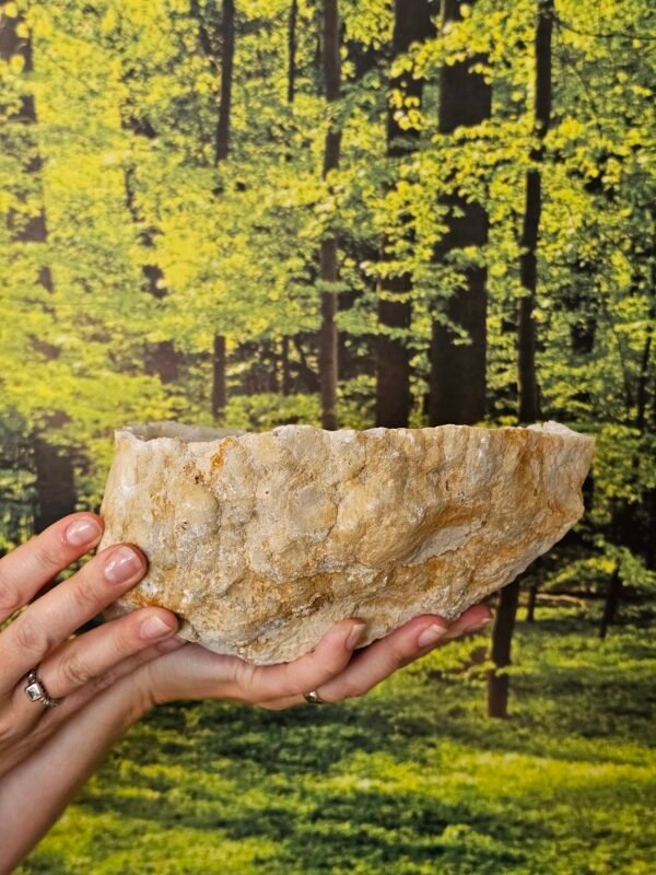 Geoda kamene strele – Moč jasnosti in stabilnosti (2800 g) - Image 5
